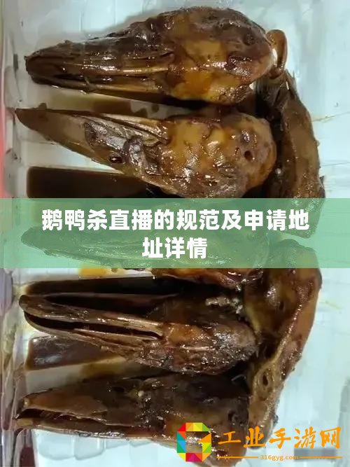 鵝鴨殺直播的規范及申請地址詳情