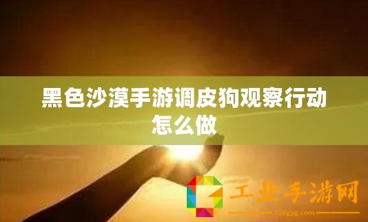 黑色沙漠手游調(diào)皮狗觀察行動怎么做