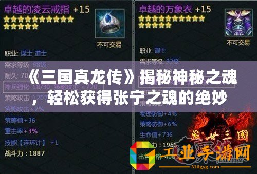 《三國真龍傳》揭秘神秘之魂，輕松獲得張寧之魂的絕妙方法！