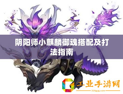 陰陽(yáng)師小麒麟御魂搭配及打法指南