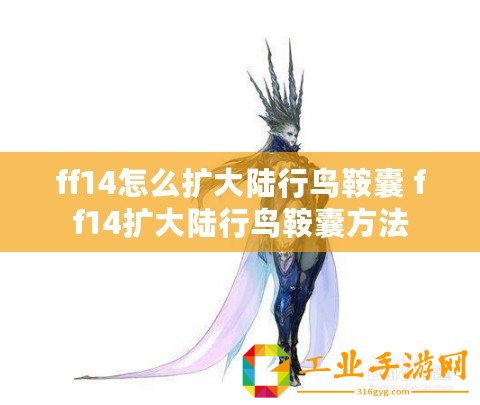 ff14怎么擴(kuò)大陸行鳥鞍囊 ff14擴(kuò)大陸行鳥鞍囊方法