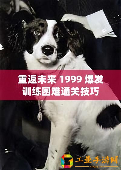 重返未來 1999 爆發(fā)訓(xùn)練困難通關(guān)技巧
