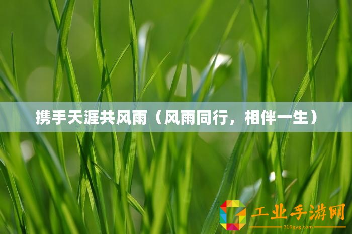 攜手天涯共風雨（風雨同行，相伴一生）