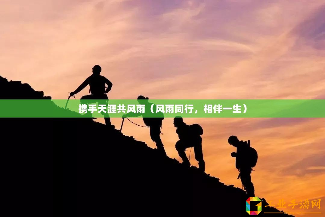 攜手天涯共風雨（風雨同行，相伴一生）