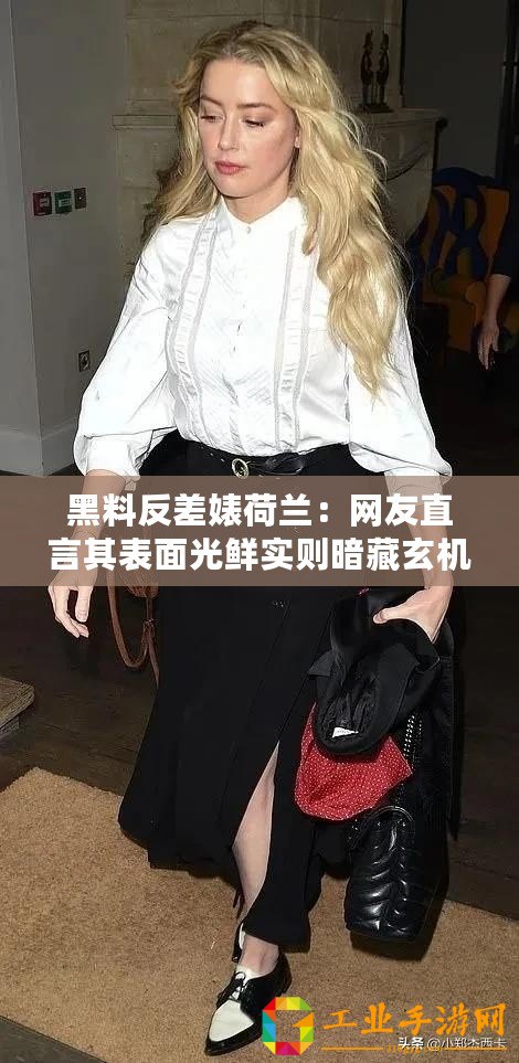 黑料反差婊荷蘭：網友直言其表面光鮮實則暗藏玄機，真相讓人震驚！