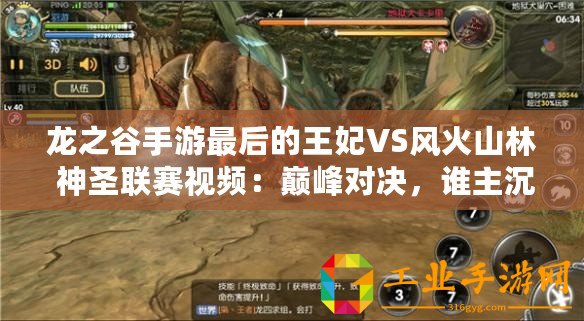 龍之谷手游最后的王妃VS風(fēng)火山林 神圣聯(lián)賽視頻：巔峰對(duì)決，誰(shuí)主沉浮