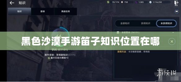 黑色沙漠手游笛子知識(shí)位置在哪