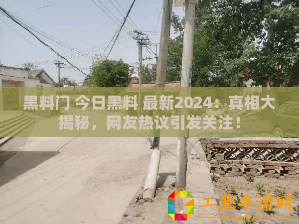 黑料門 今日黑料 最新2024：真相大揭秘，網友熱議引發關注！