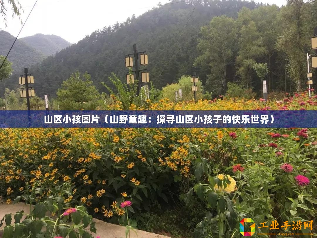 山區(qū)小孩圖片（山野童趣：探尋山區(qū)小孩子的快樂世界）