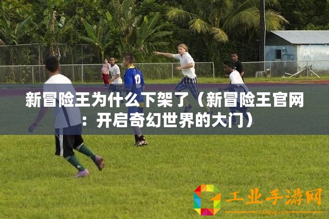 新冒險(xiǎn)王為什么下架了（新冒險(xiǎn)王官網(wǎng)：開啟奇幻世界的大門）