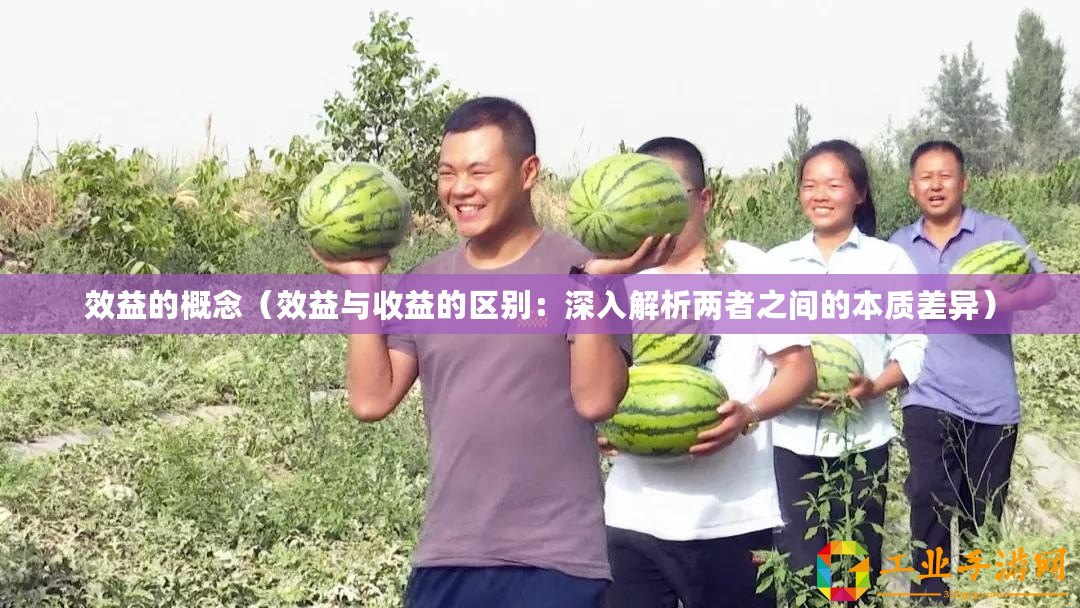 效益的概念（效益與收益的區別：深入解析兩者之間的本質差異）