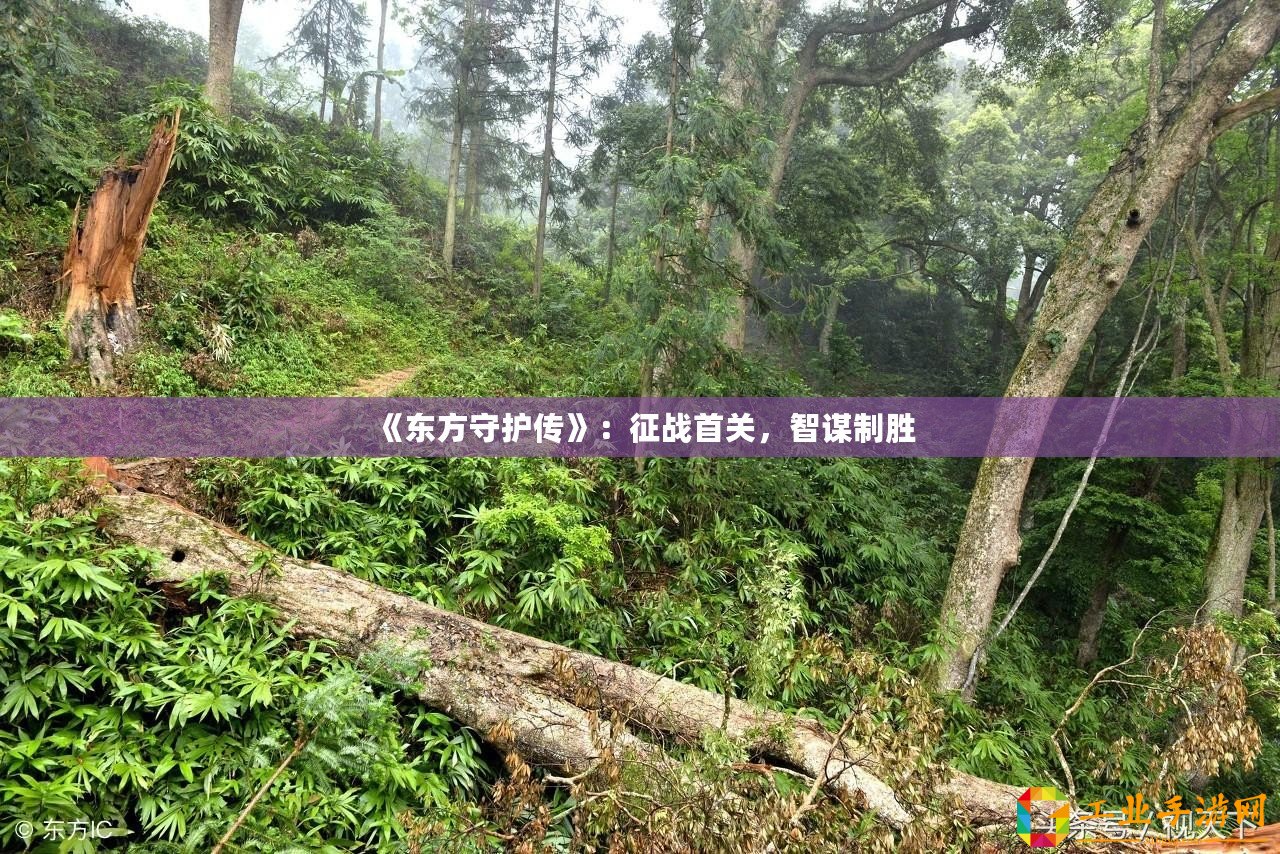 《東方守護(hù)傳》：征戰(zhàn)首關(guān)，智謀制勝